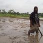 Suradi petani profesional padi 