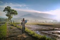 Bercocok tanam solusi Nabi Yusuf as