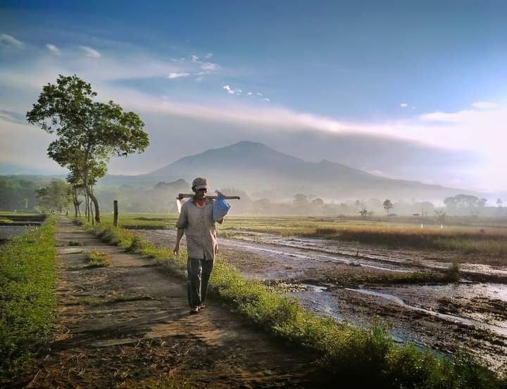 Bercocok tanam solusi Nabi Yusuf as