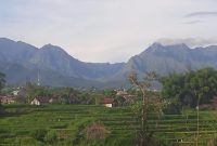 Pemimpin yang adil kunci kemajuan Kedamaian dan kesejahteraan